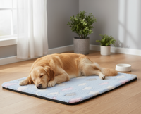 Tapetinho Premium | Para Cachorro e Gato