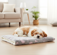 Tapetinho Premium | Para Cachorro e Gato